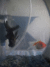 thm_DSC00008.gif